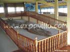 Museo del Fos�l Villa de Leyva